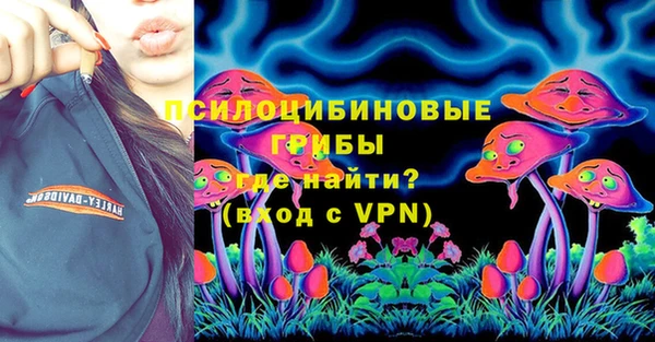 хмурый Аркадак
