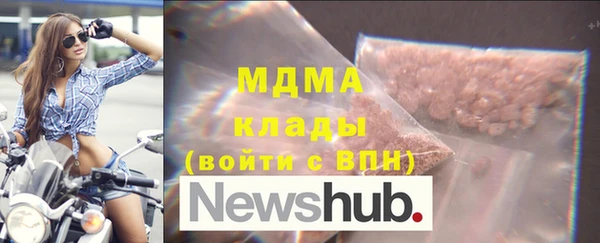 хмурый Аркадак