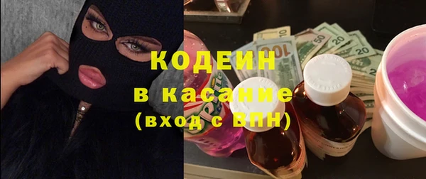 хмурый Аркадак