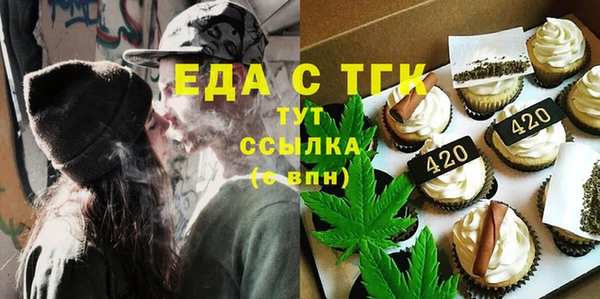 хмурый Аркадак