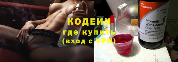 хмурый Аркадак