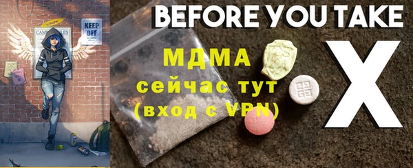 хмурый Аркадак