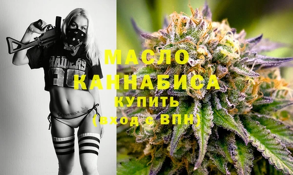 хмурый Аркадак