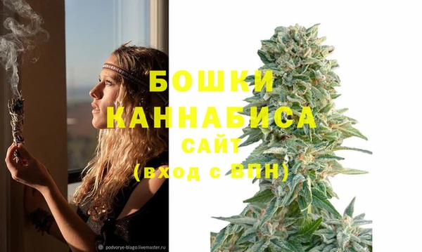 бутират Арсеньев