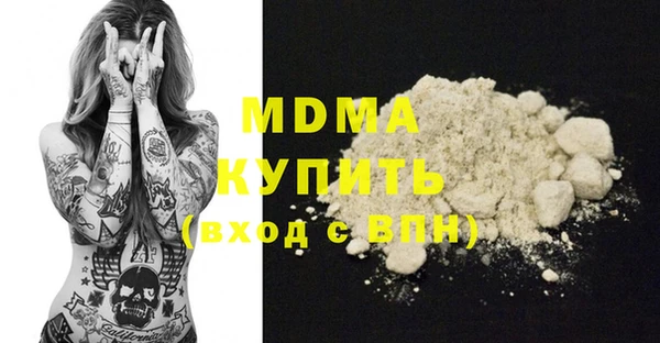 хмурый Аркадак