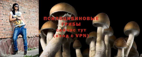 бутират Арсеньев